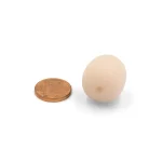 BUBBLEBEE FOAM Lavalier L beige