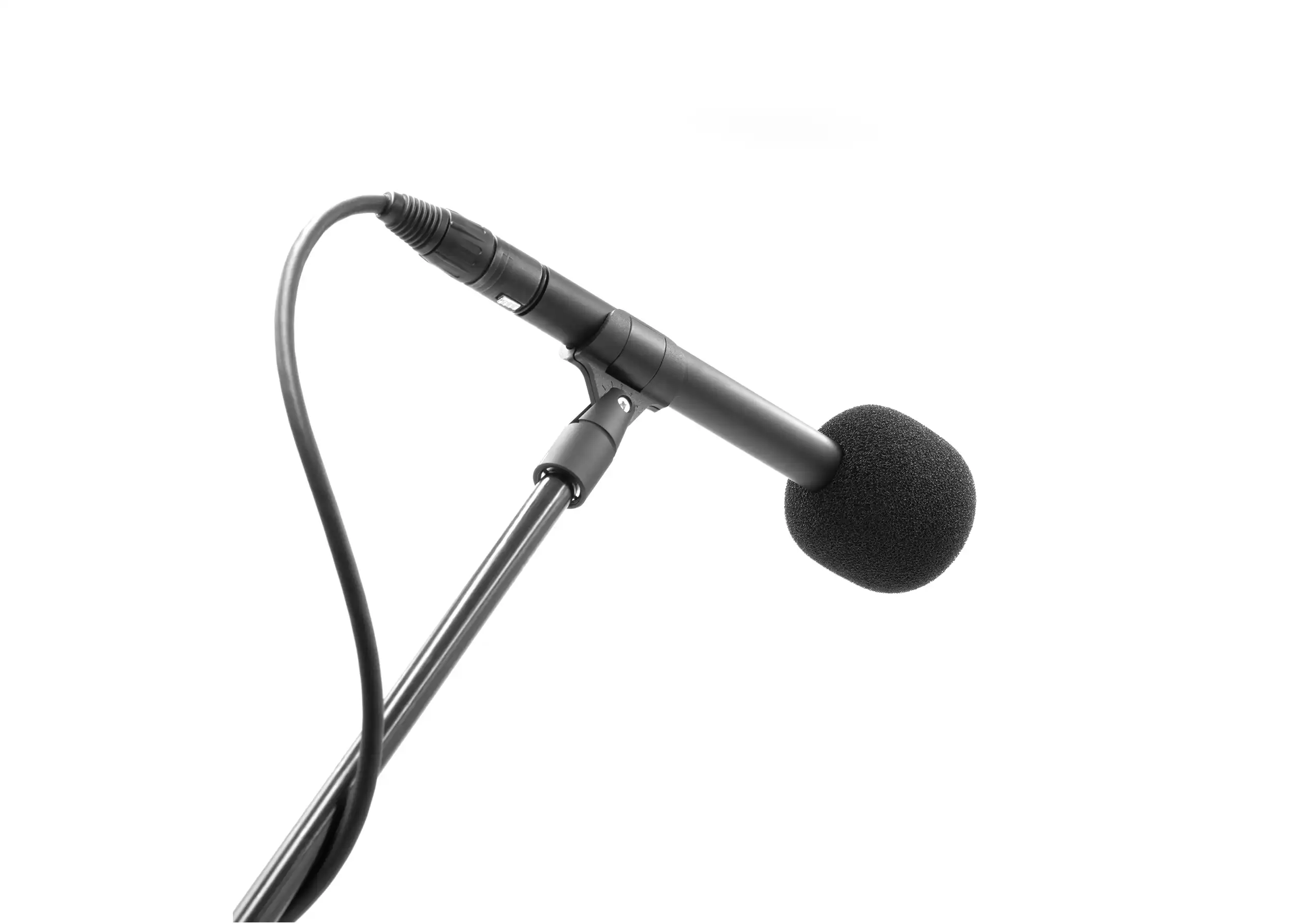 BUBBLEBEE THE FOAM MIC M on mic