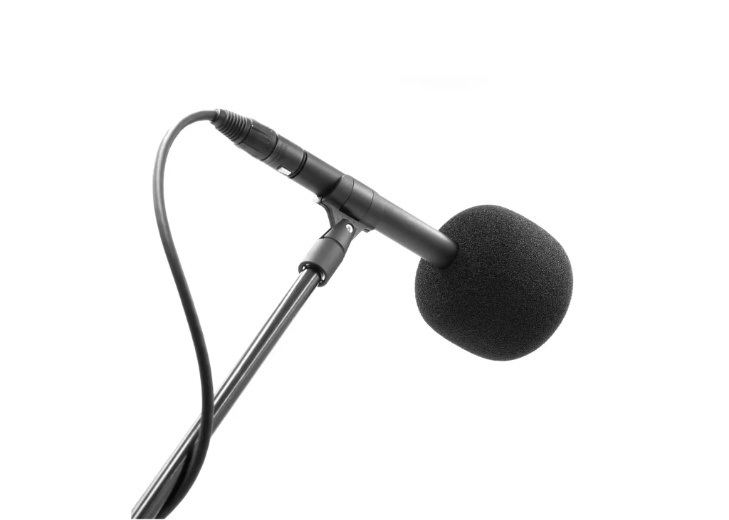 BUBBLEBEE THE FOAM MIC XL on mic