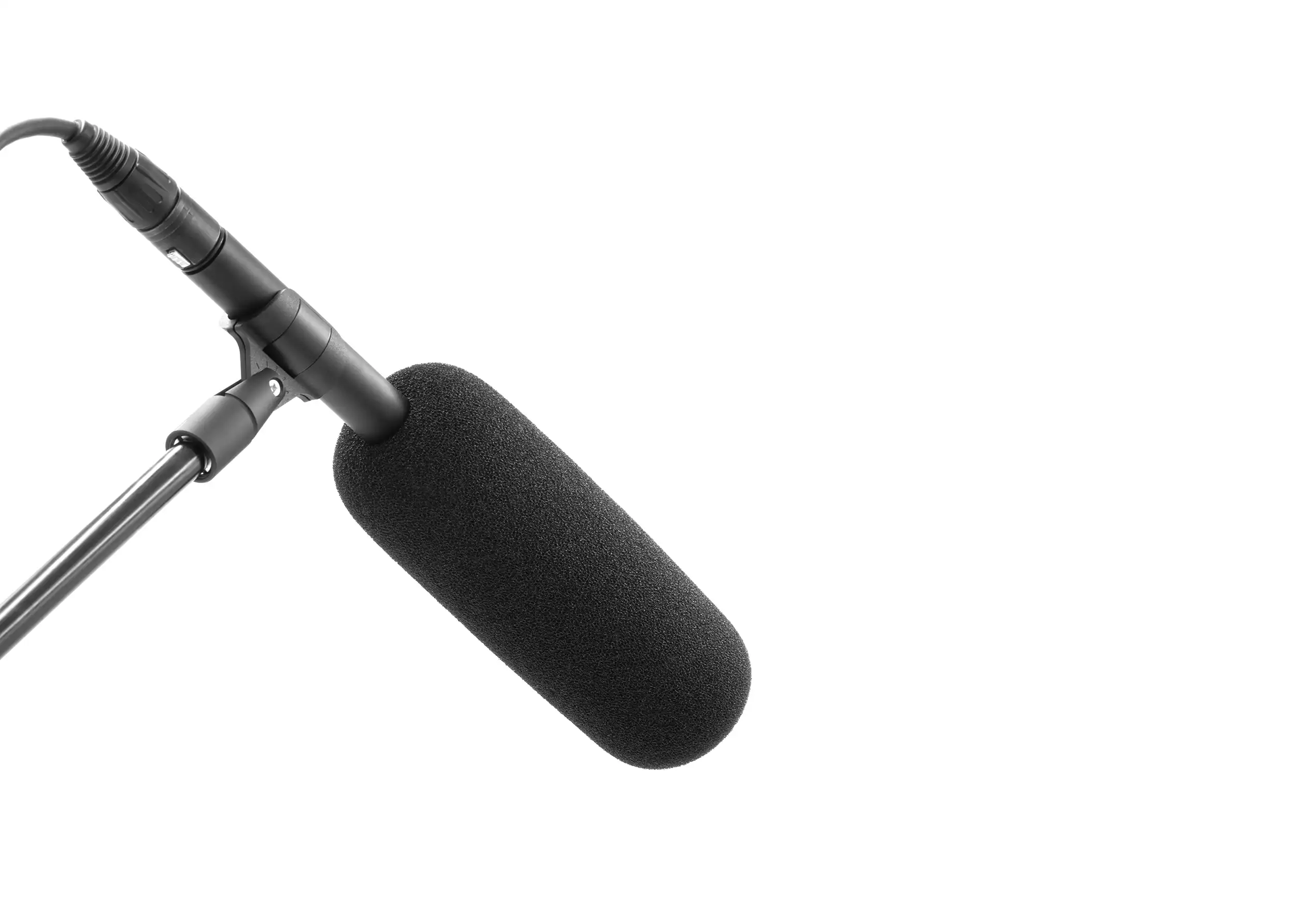 BUBBLEBEE THE MIC FOAM SHOTGUN XL on mic