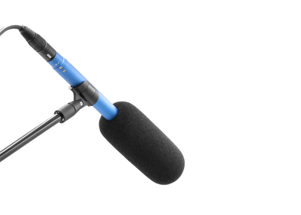 BUBBLEBEE THE MIC FOAM SHOTGUN M on mic