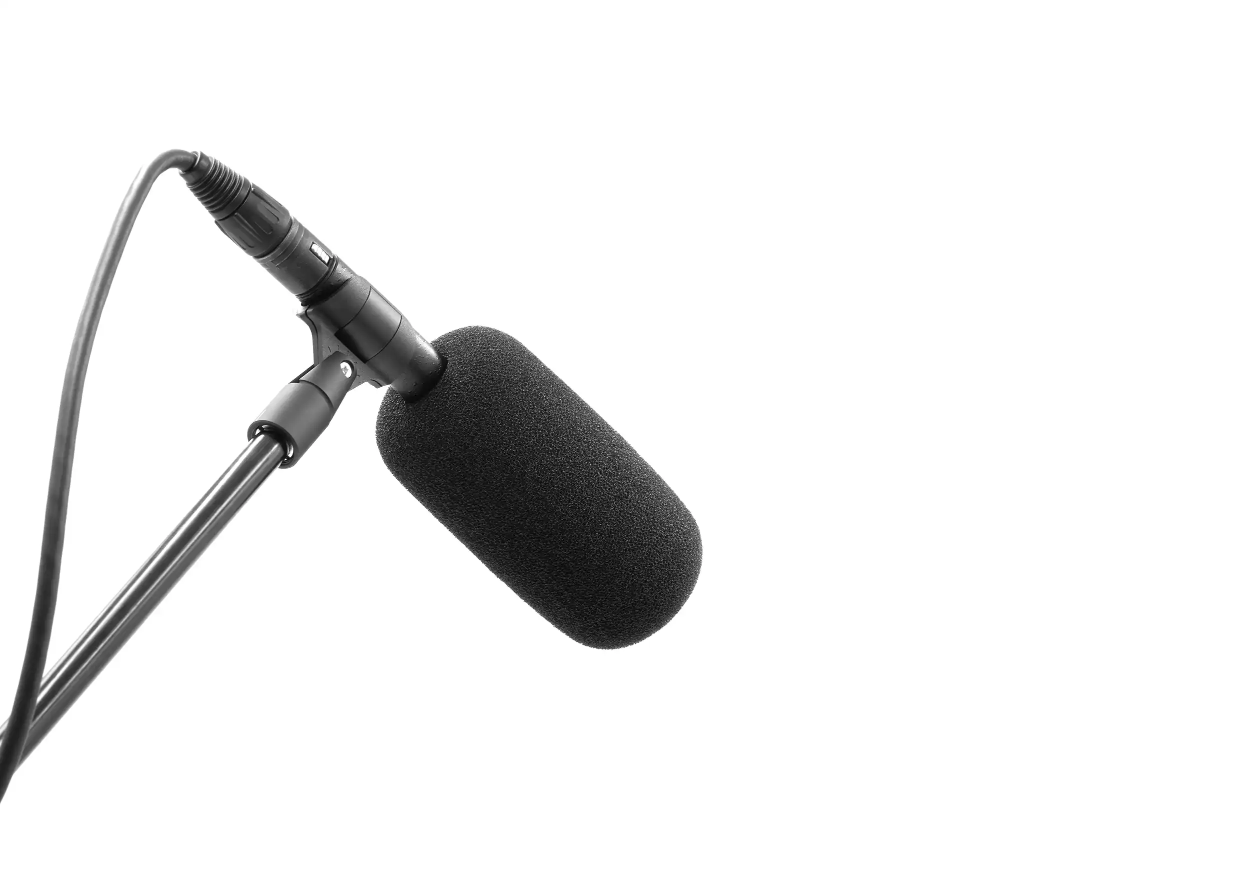 BUBBLEBEE THE MIC FOAM SHOTGUN S on mic