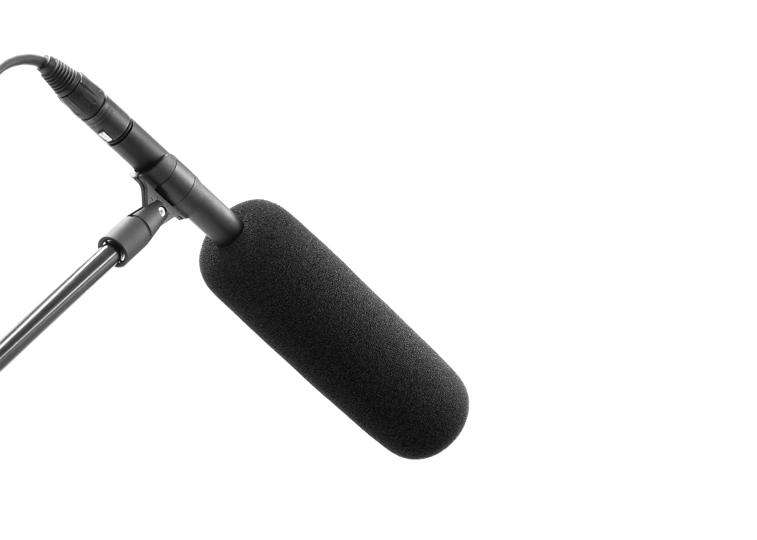 BUBBLEBEE THE MIC FOAM SHOTGUN XL on mic