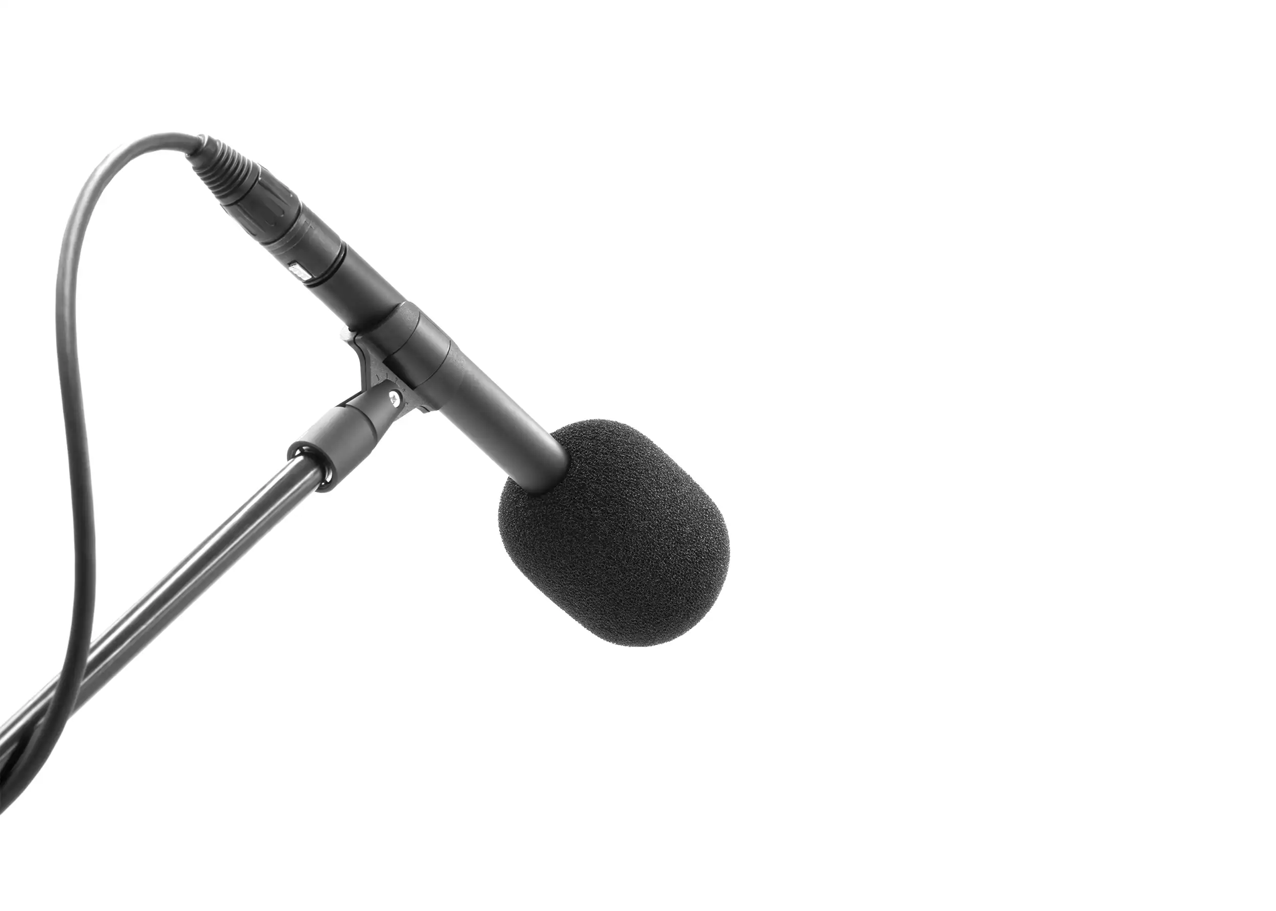 BUBBLEBEE THE MIC FOAM SHOTGUN XS on mic